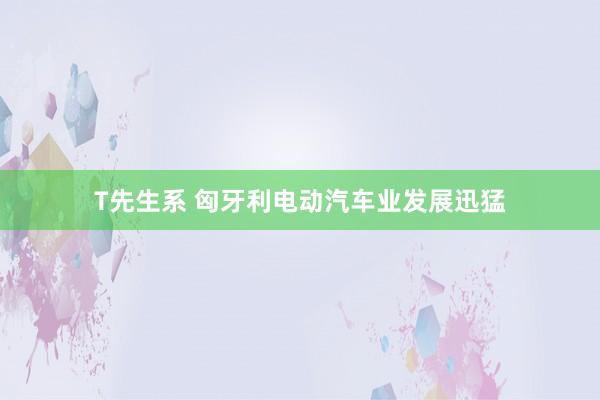 T先生系 匈牙利电动汽车业发展迅猛