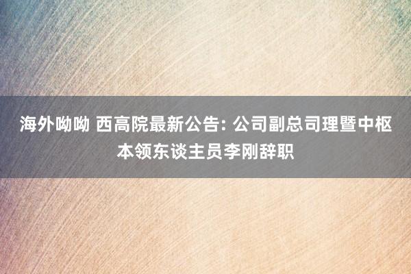 海外呦呦 西高院最新公告: 公司副总司理暨中枢本领东谈主员李刚辞职