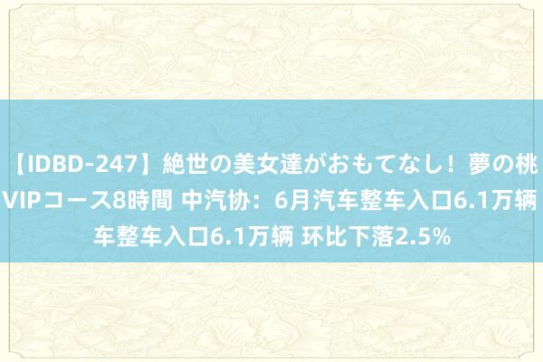 【IDBD-247】絶世の美女達がおもてなし！夢の桃源郷 IP風俗街 VIPコース8時間 中汽协：6月汽车整车入口6.1万辆 环比下落2.5%