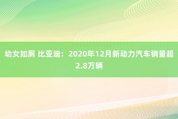 幼女如厕 比亚迪：2020年12月新动力汽车销量超2.8万辆