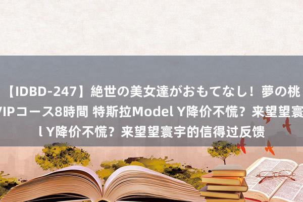 【IDBD-247】絶世の美女達がおもてなし！夢の桃源郷 IP風俗街 VIPコース8時間 特斯拉Model Y降价不慌？来望望寰宇的信得过反馈