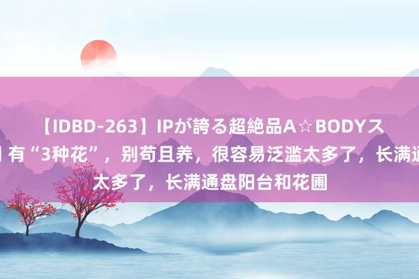 【IDBD-263】IPが誇る超絶品A☆BODYスペシャル8時間 有“3种花”，别苟且养，很容易泛滥太多了，长满通盘阳台和花圃