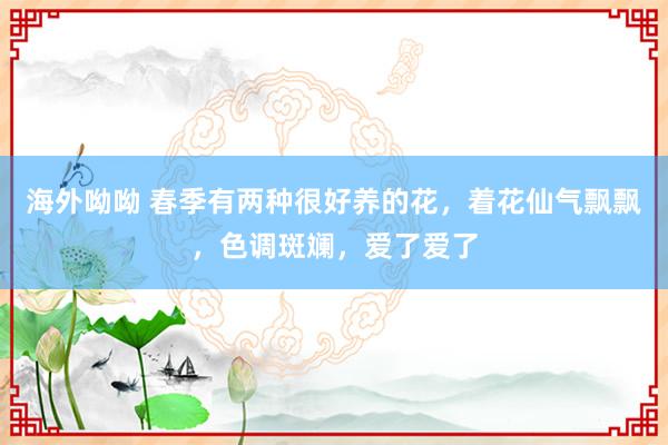 海外呦呦 春季有两种很好养的花，着花仙气飘飘，色调斑斓，爱了爱了