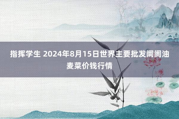 指挥学生 2024年8月15日世界主要批发阛阓油麦菜价钱行情