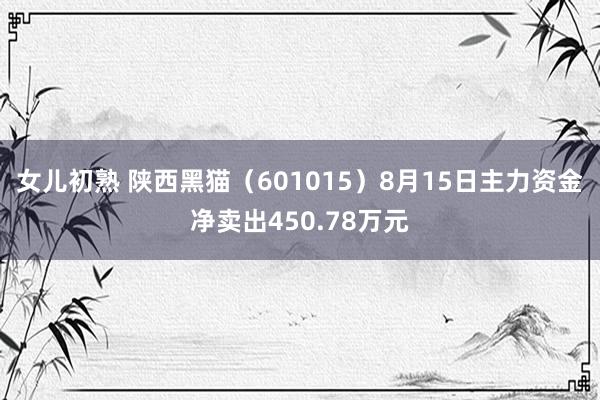 女儿初熟 陕西黑猫（601015）8月15日主力资金净卖出450.78万元