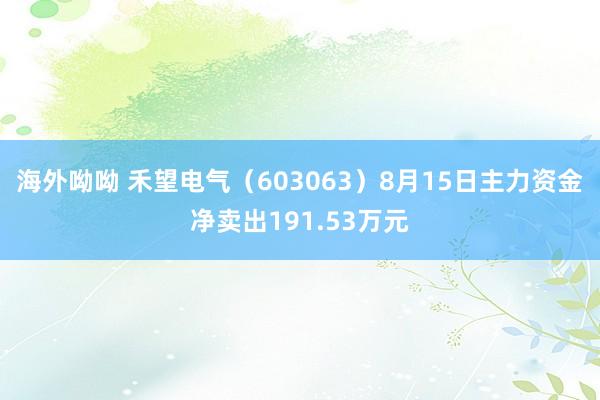 海外呦呦 禾望电气（603063）8月15日主力资金净卖出191.53万元