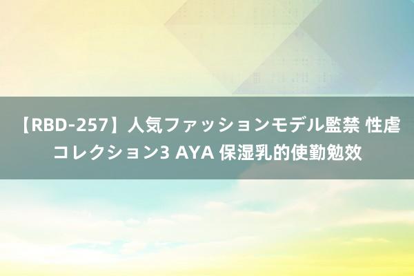 【RBD-257】人気ファッションモデル監禁 性虐コレクション3 AYA 保湿乳的使勤勉效