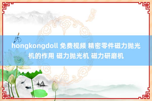 hongkongdoll 免费视频 精密零件磁力抛光机的作用 磁力抛光机 磁力研磨机