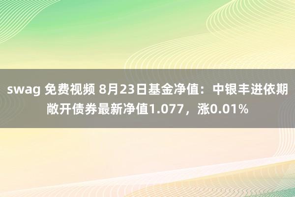 swag 免费视频 8月23日基金净值：中银丰进依期敞开债券最新净值1.077，涨0.01%