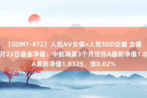 【SDMT-472】人気AV女優×人気SOD企画 女優祭7時間40分 8月23日基金净值：中航瑞景3个月定开A最新净值1.0325，涨0.02%