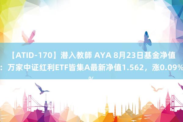 【ATID-170】潜入教師 AYA 8月23日基金净值：万家中证红利ETF皆集A最新净值1.562，涨0.09%