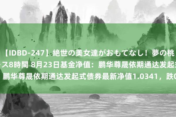 【IDBD-247】絶世の美女達がおもてなし！夢の桃源郷 IP風俗街 VIPコース8時間 8月23日基金净值：鹏华尊晟依期通达发起式债券最新净值1.0341，跌0.02%