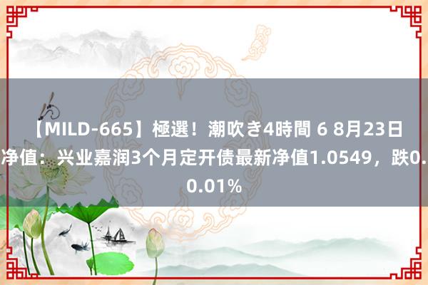 【MILD-665】極選！潮吹き4時間 6 8月23日基金净值：兴业嘉润3个月定开债最新净值1.0549，跌0.01%