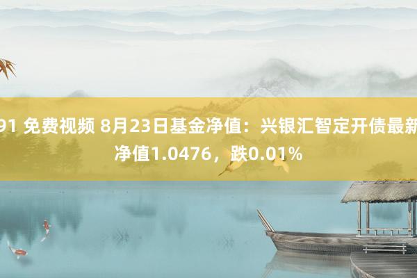 91 免费视频 8月23日基金净值：兴银汇智定开债最新净值1.0476，跌0.01%