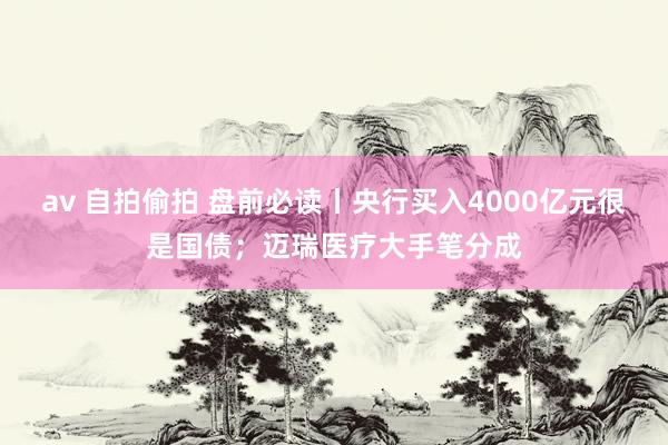 av 自拍偷拍 盘前必读丨央行买入4000亿元很是国债；迈瑞医疗大手笔分成