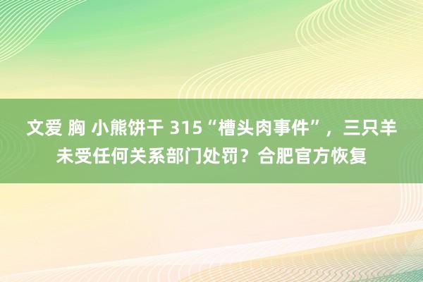 文爱 胸 小熊饼干 315“槽头肉事件”，三只羊未受任何关系部门处罚？合肥官方恢复