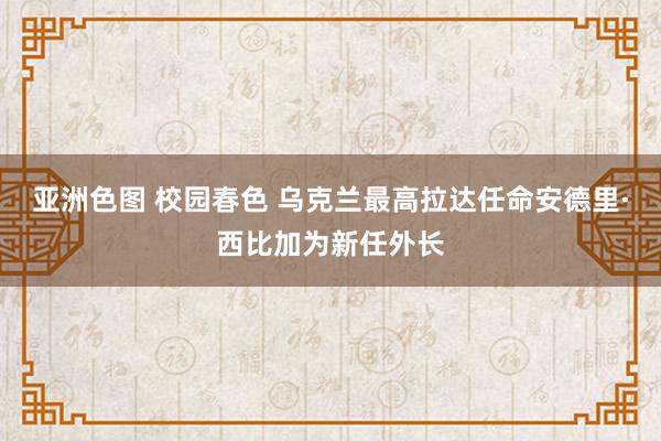 亚洲色图 校园春色 乌克兰最高拉达任命安德里·西比加为新任外长