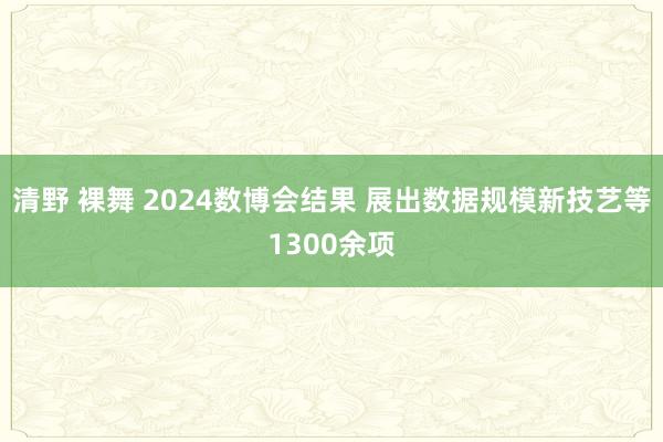 清野 裸舞 2024数博会结果 展出数据规模新技艺等1300余项