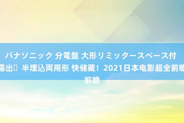 パナソニック 分電盤 大形リミッタースペース付 露出・半埋込両用形 快储藏！2021日本电影超全前瞻