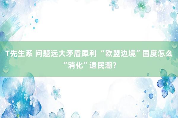 T先生系 问题远大矛盾犀利 “欧盟边境”国度怎么“消化”遗民潮？