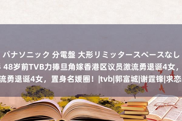 パナソニック 分電盤 大形リミッタースペースなし 露出・半埋込両用形 48岁前TVB力捧旦角嫁香港区议员激流勇退诞4女，置身名媛圈！|tvb|郭富城|谢霆锋|求恋期|玻璃之城