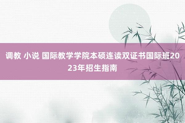 调教 小说 国际教学学院本硕连读双证书国际班2023年招生指南